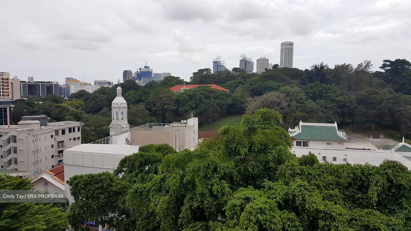 Belle Vue Residences (D9), Condominium #466843461